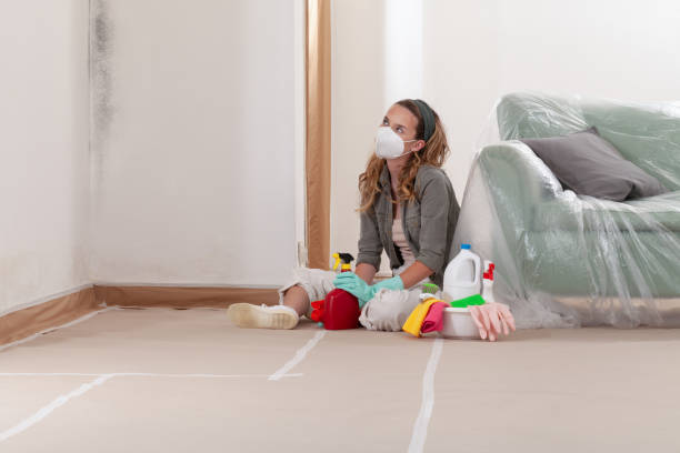 Reliable Basement Mold Removal contractor in Riva, MD by WQB Mold Removal